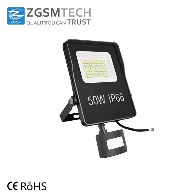 floodlight50w-2 floodlight50w-2
