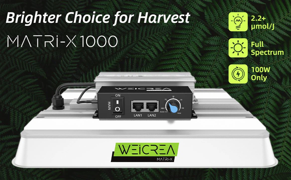 A100W-01
