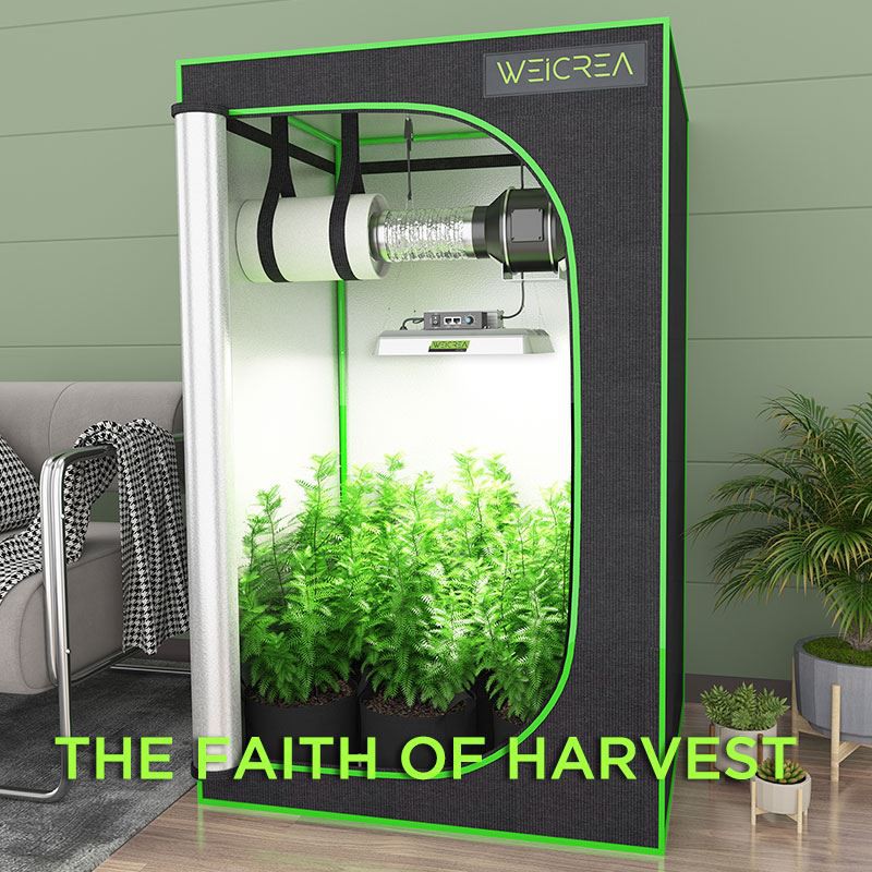 100W-4